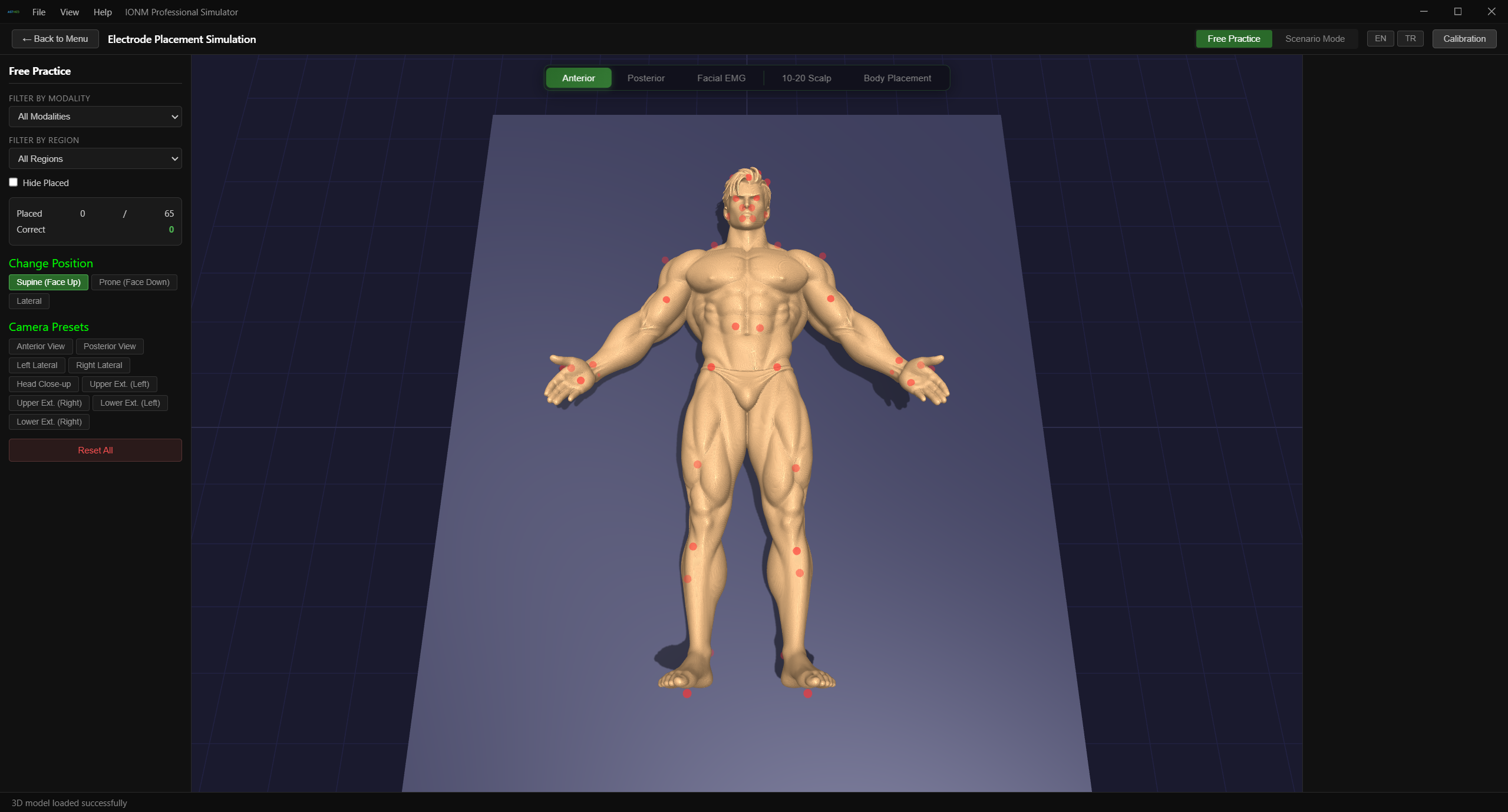 Stimora — 3D Electrode Placement