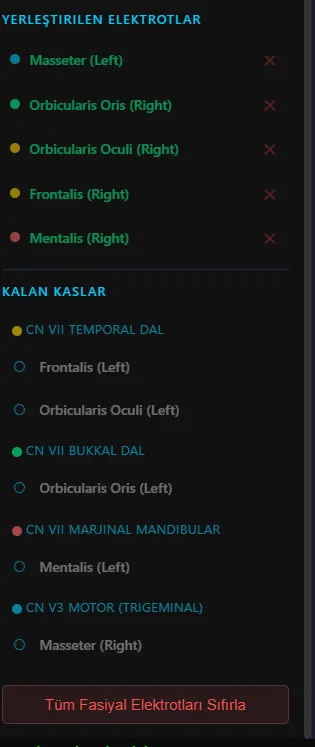 Fasiyal EMG, Yerleştirilen Elektrotlar ve Kas Grupları